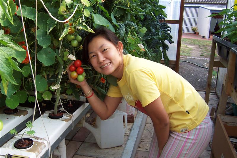 Ready to pic AP toms 018 (Medium).jpg