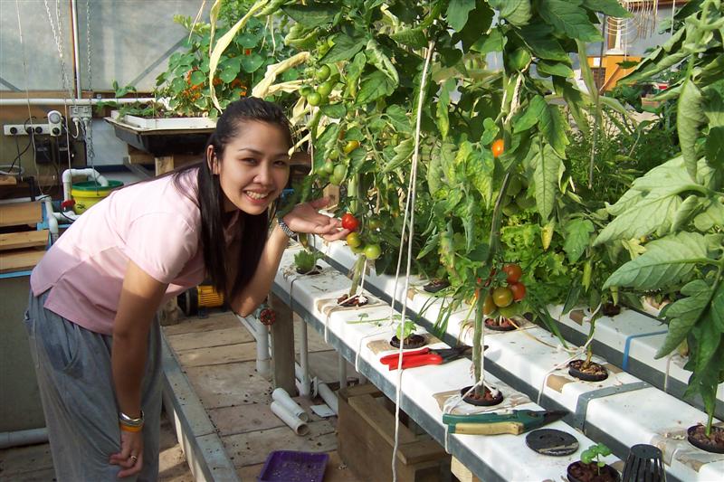 Ready to pic AP toms 017 (Medium) (2).jpg