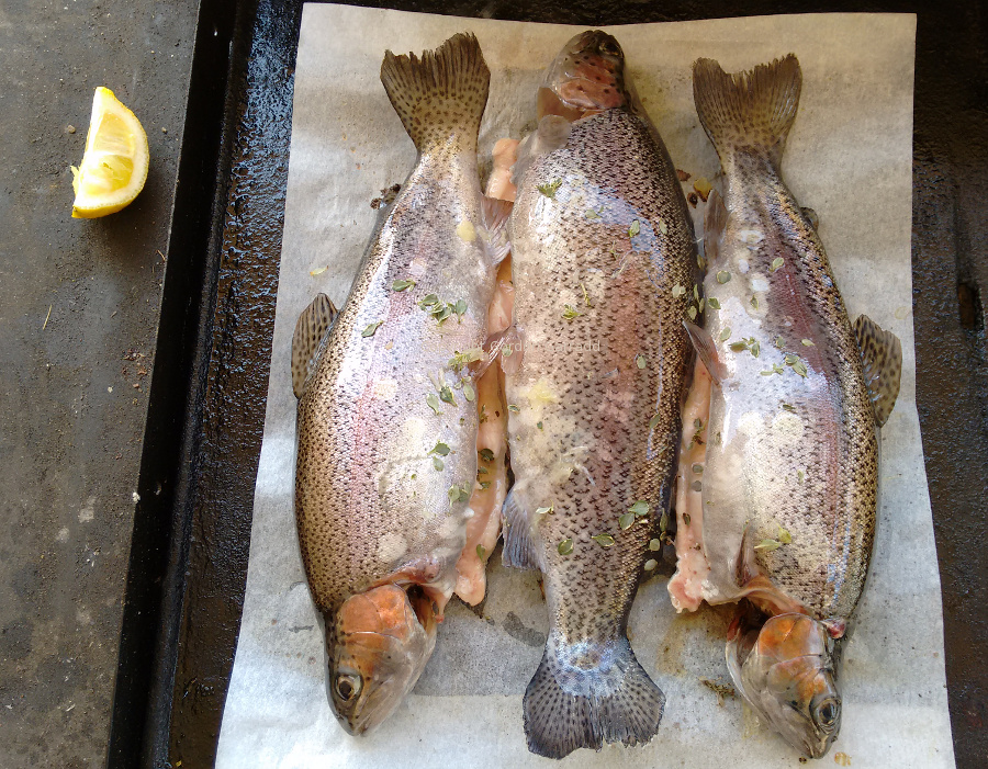 20151114trout-lunch.jpg