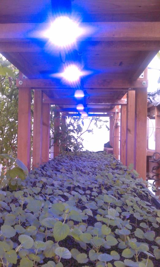 Herschaalde kopie van WP_20151108_001.jpg