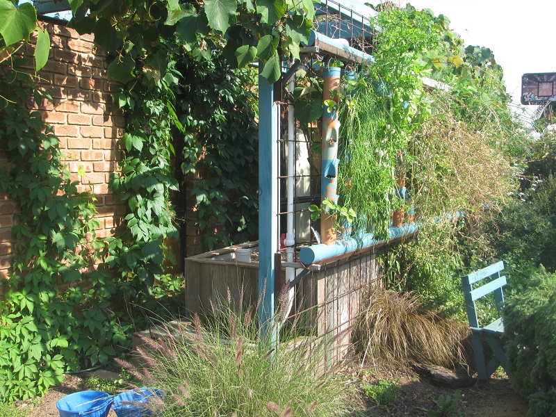 19 Nov 2015 - towers looking rough, waiting to collect seed.jpg