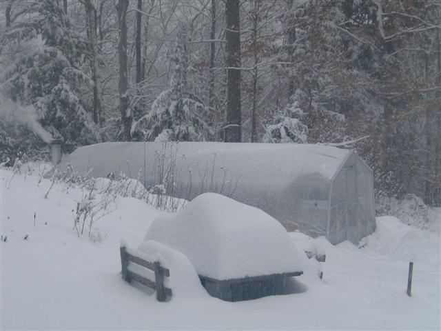 IMG_4284 (Small).jpg