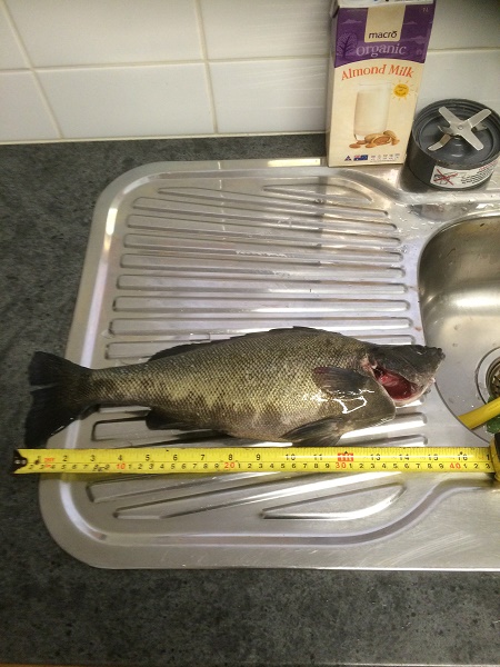 IMG_2742 resized.jpg