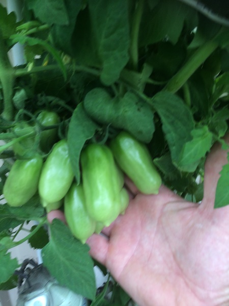 IMG_2725 resized.jpg