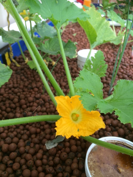 IMG_2726 resized.jpg