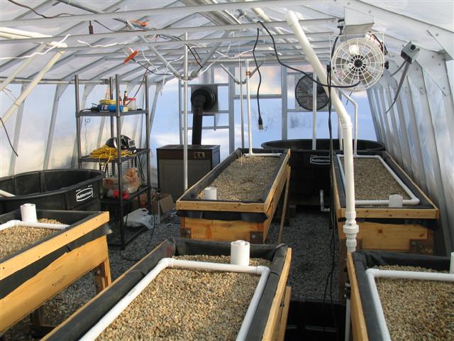 IMG_4296 (Small).jpg