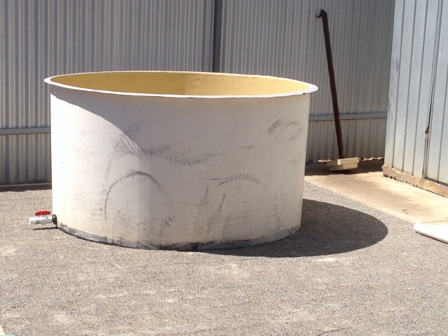 IMG_0652 (640x480).jpg