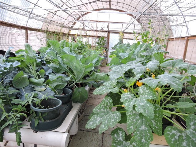 DSCN0425 (Small).JPG