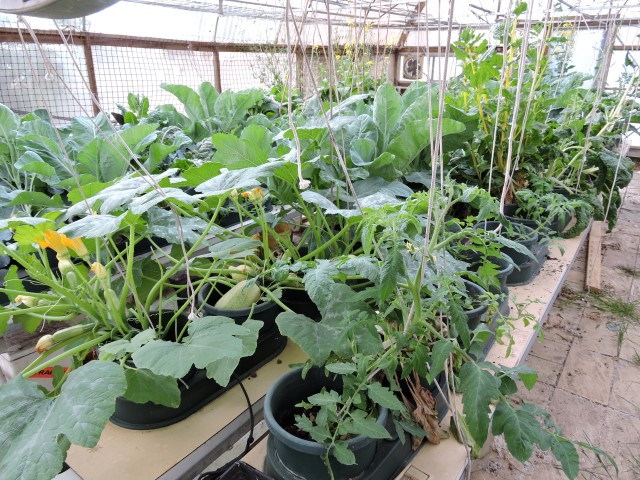 DSCN0426 (Small).JPG