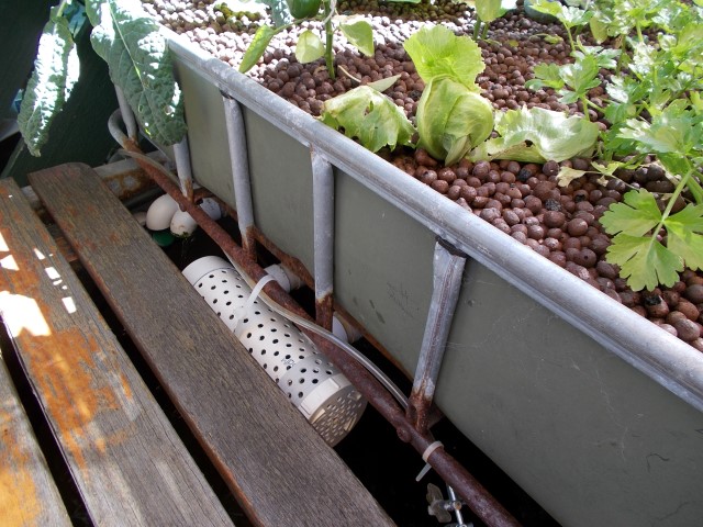 DSCN0760 (Small).JPG