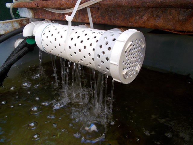 DSCN0758 (Small).JPG