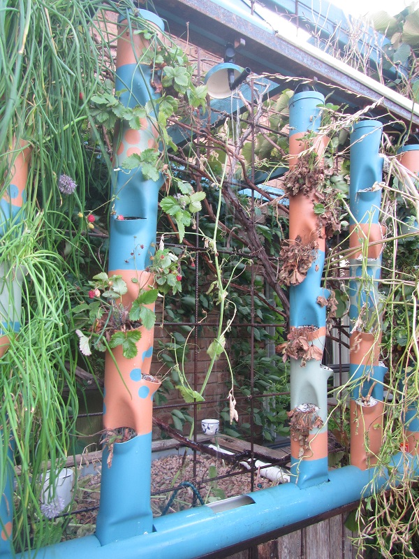 26 Nov 2015 - wind blew the tower out last night.jpg