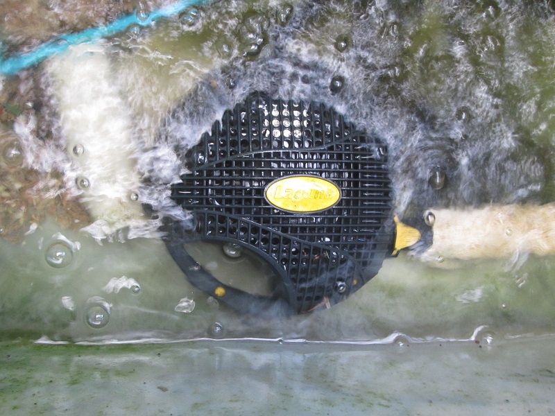 26 Nov 2015 - the sump was nearly empty when I got up this morning.jpg