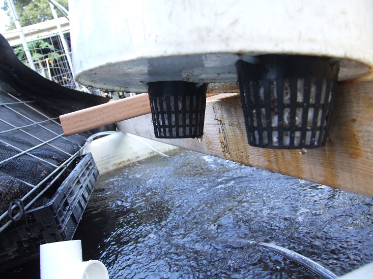 Inlet and backflush.jpg