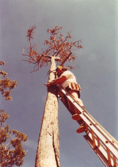 001 Groote Eylandt (Small).jpg
