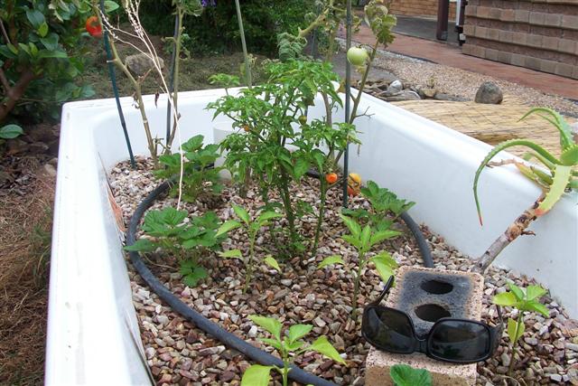 23-12garden (Small).jpg