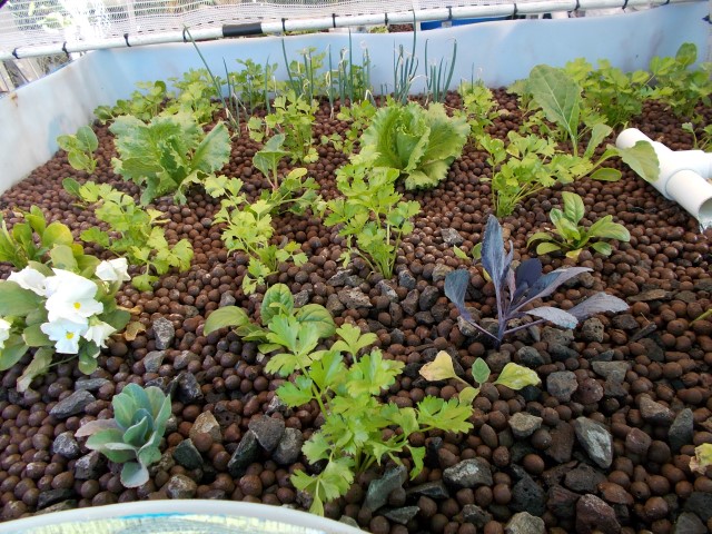 DSCN0685 (Small).JPG