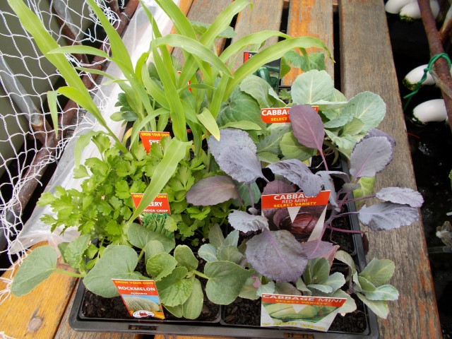 DSCN0643 (Small).JPG