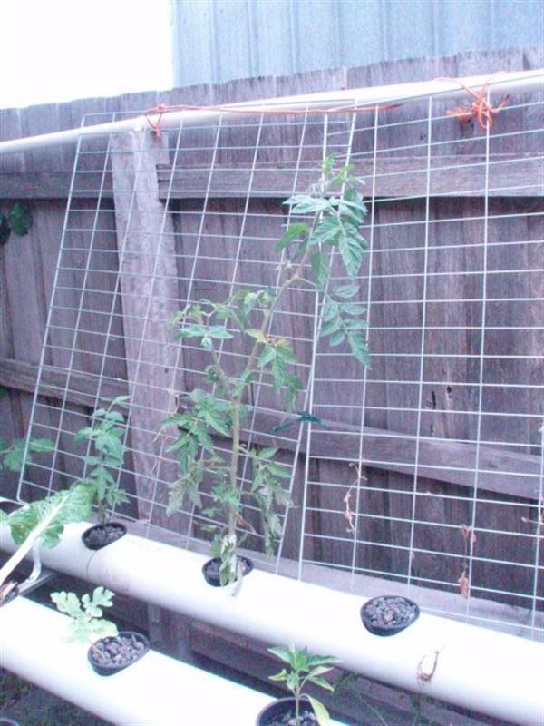 Christmas Party 2007005.JPG