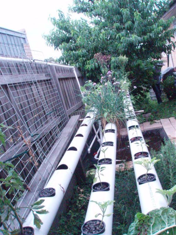 Christmas Party 2007004.JPG