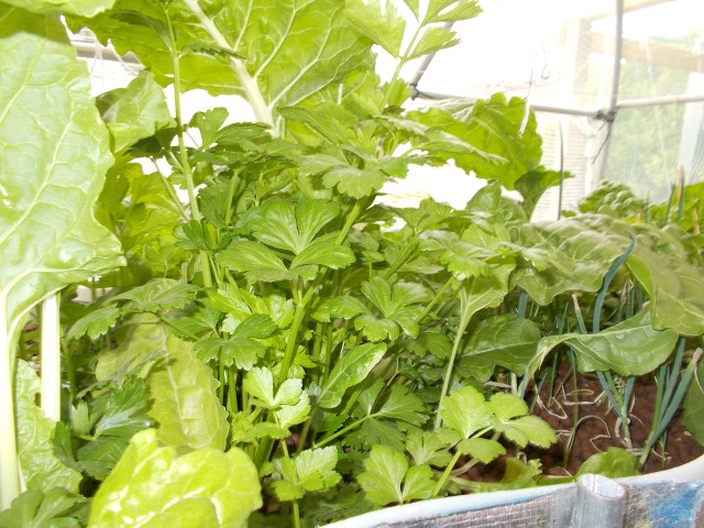 DSCN0816 (Small).JPG