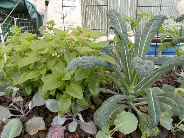 DSCN0802 (Small).JPG