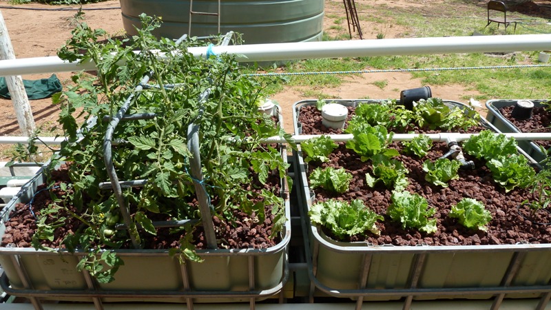 System 4 1st Dec 2015 2.jpg