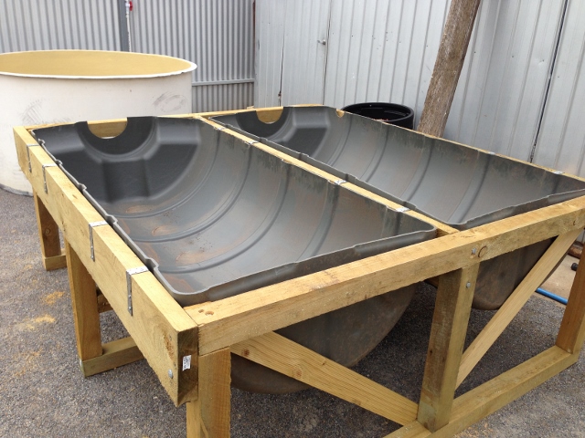 IMG_0689 (640x480).jpg