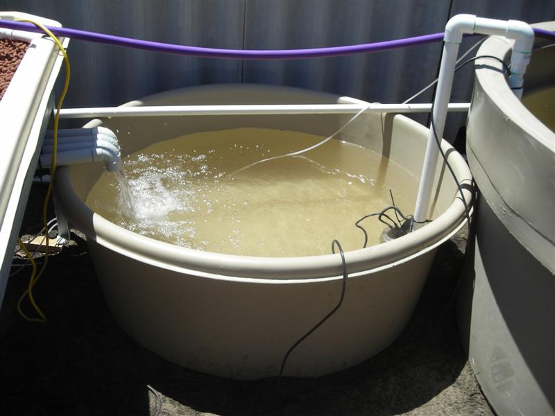 DSCN0340 (Medium).JPG