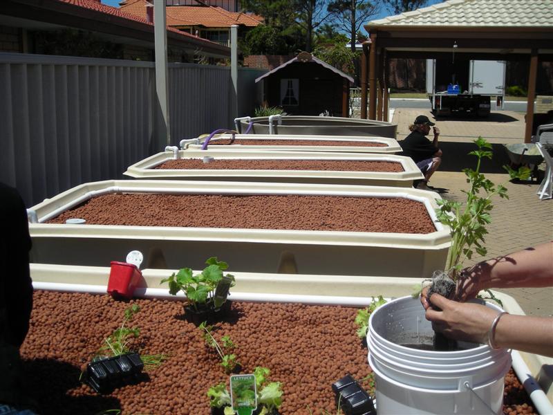 DSCN0345 (Medium).JPG