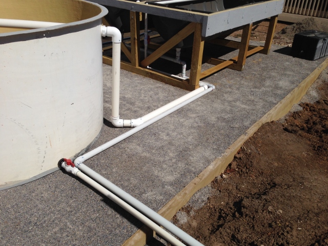 IMG_0713 (640x480).jpg