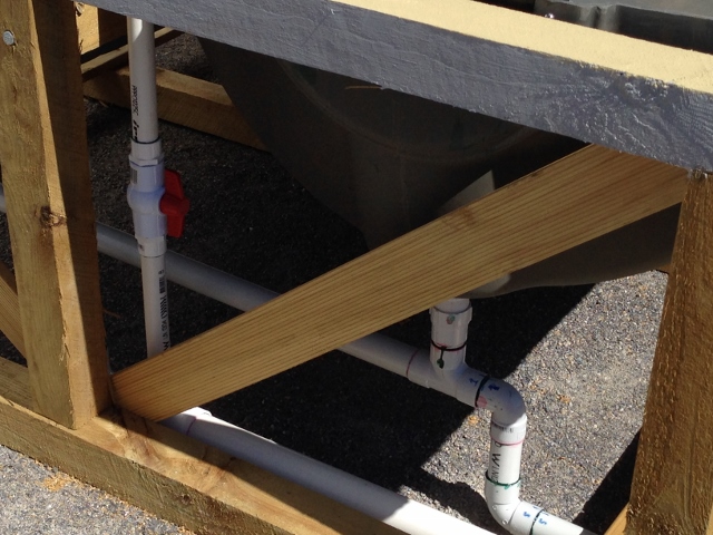 IMG_0712 (640x480).jpg