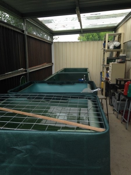 IMG_1257 (Custom2).jpg