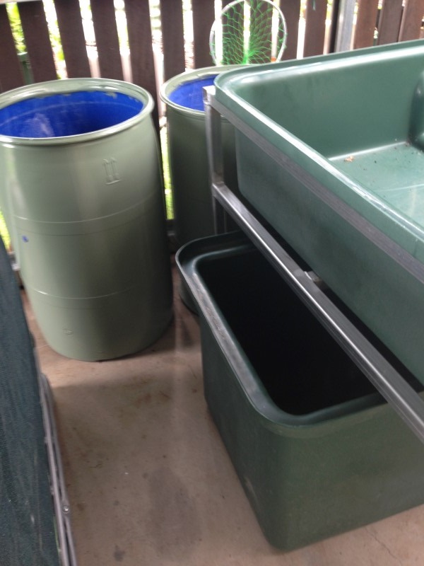 IMG_1258 (Custom2).jpg