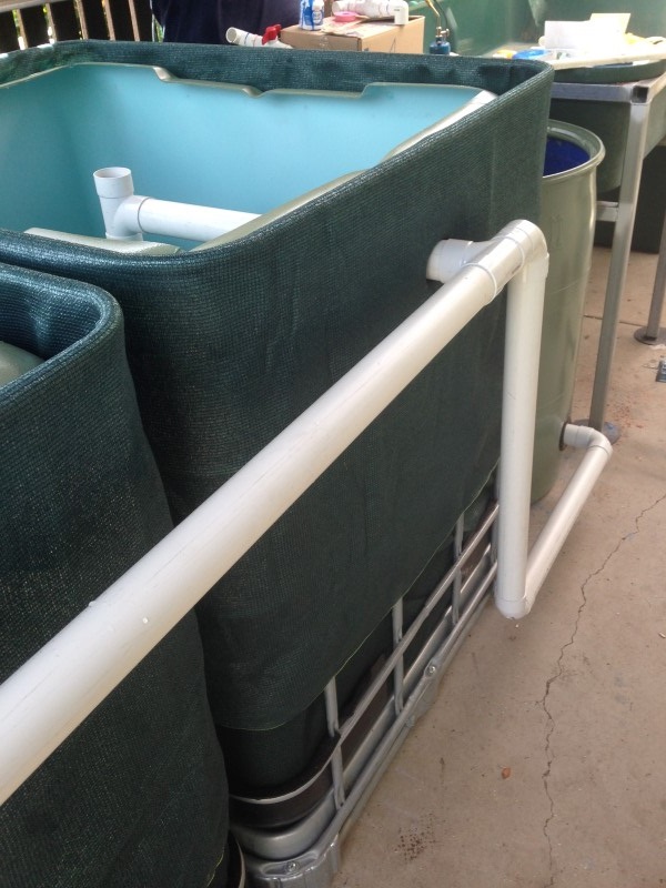 IMG_1261 (Custom).JPG