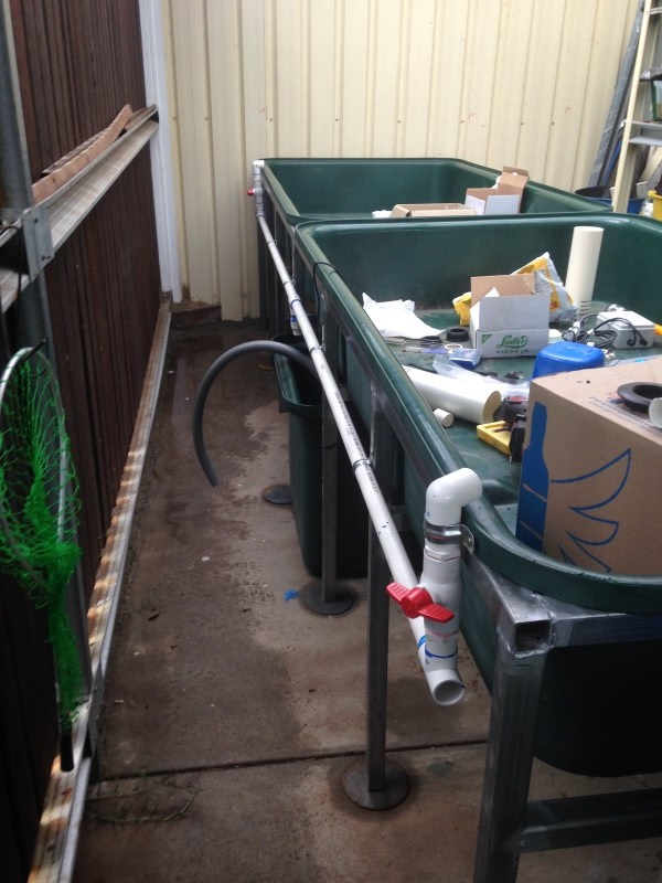 IMG_1264 (Custom).JPG