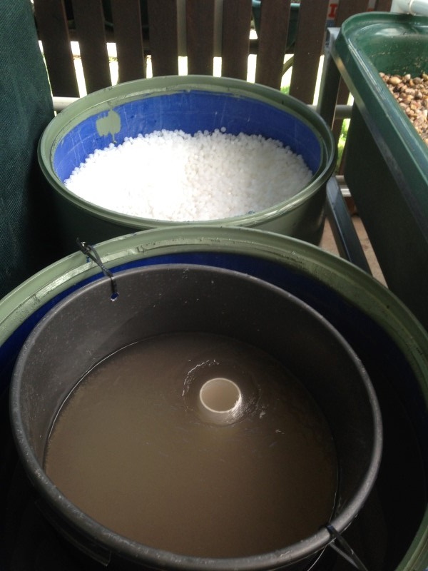 IMG_1279 (Custom).JPG