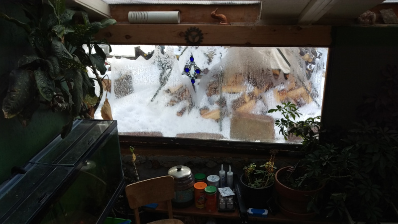December-29th2015-view-from-greenhouse.jpg
