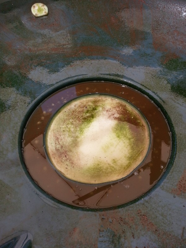 20151230_122238 (600x800).jpg