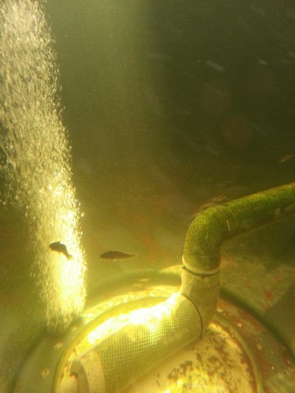 20151230_160217 (600x800).jpg