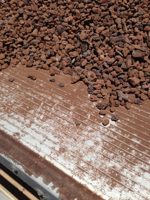 IMG_0734 (480x640).jpg