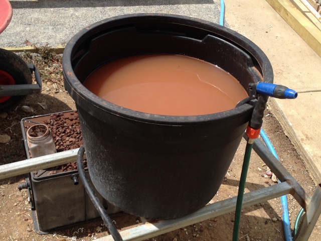 IMG_0737 (640x480).jpg