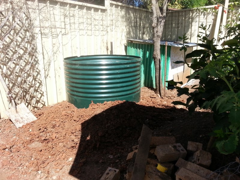 IMG_20150108_101315 (800x600).jpg