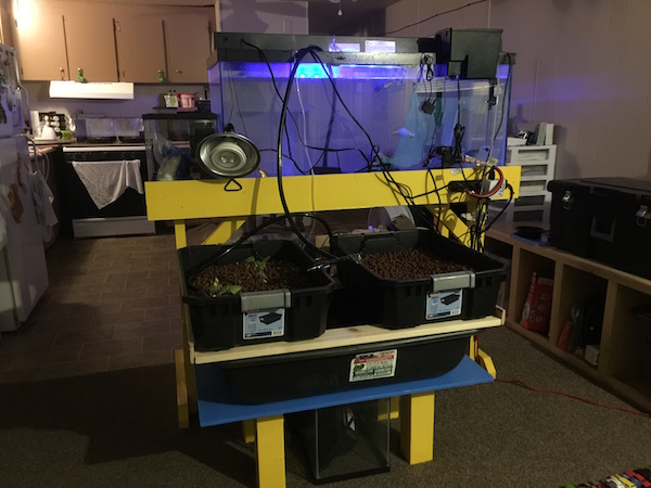 phirestalker_aquarium_aquaponics.jpg