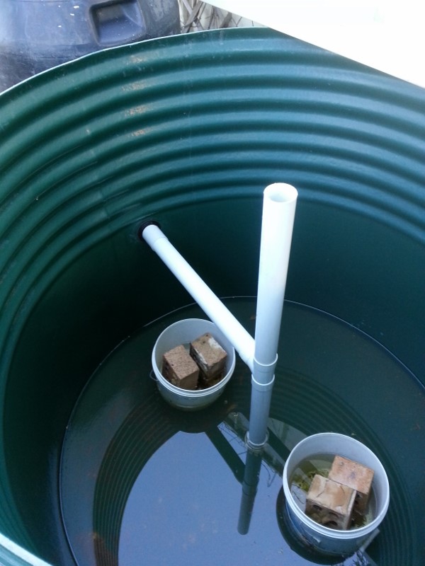 IMG_20150129_175934 (600x800).jpg