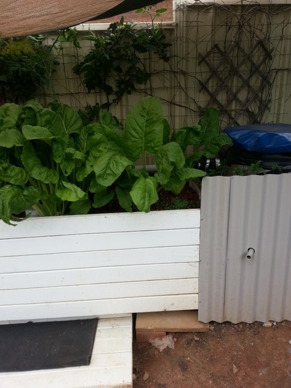 20160103_124328 (600x800).jpg