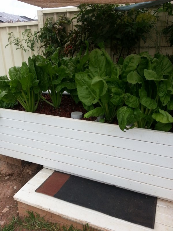 20160103_124336 (600x800).jpg