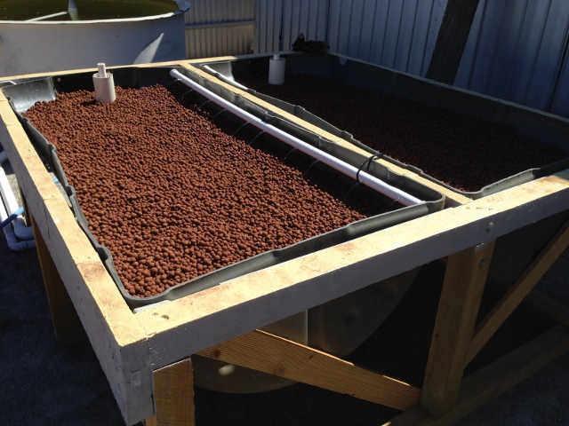 IMG_0738 (640x480).jpg