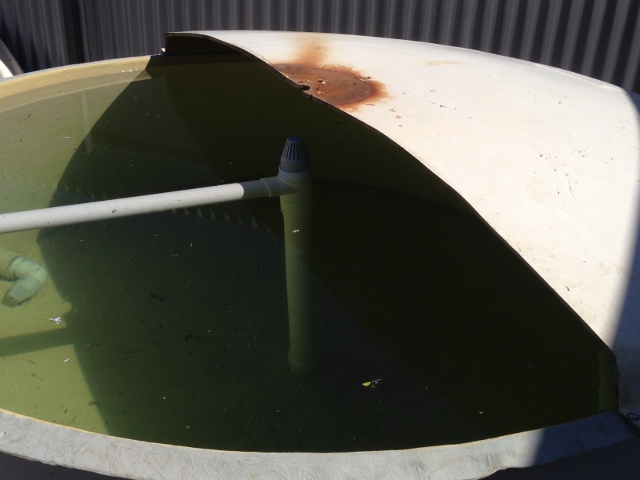 IMG_0739 (640x480).jpg