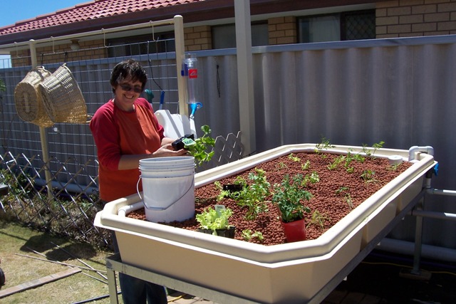 Yvonne planting out the system.jpg